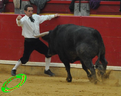 Concurso goyesco de recortadores con toros de Zaragoza 4034930217_52c7dee16c