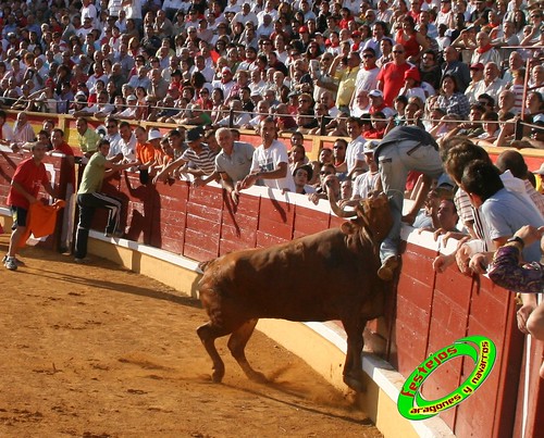 Tudela (Navarra) 26-07-2009 Ganaderia Ustarroz (Arguerdas, Navarra) 3765586191_5f30a510a0