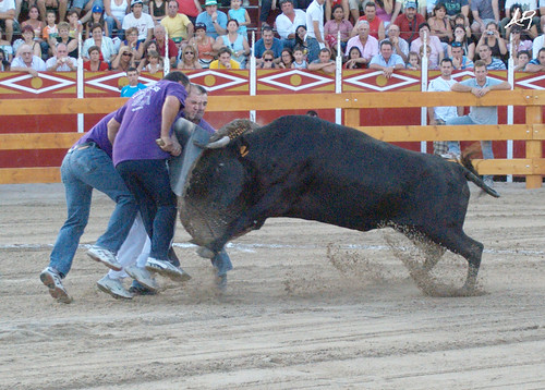 Quinto (Zaragoza) 19.7.2009 "III Concurso de Recortadores y Roscaderos" (Ganaderías Hnos. Oliva Escudero, Hnos. Ozcoz y Hnos. Marcén) 3746624525_95ce8e1044