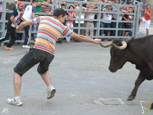 Magallón (Zaragoza) 9.8.2009 Ganadería Merino Gil - Garde (Marcilla, Navarra) 3807916858_1b64c99c59