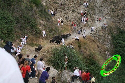 Falces 16-08-09, encierro del pilón, Ganadería Teodoro Vergara 3862566773_15e3e21630