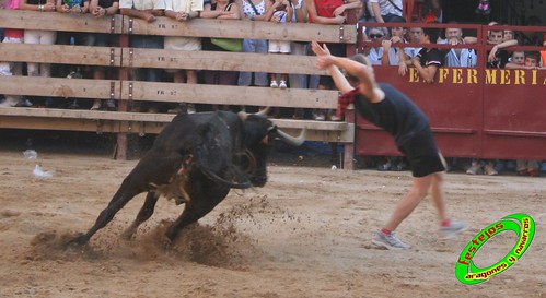 Mallen (Zaragoza) 8-09-2009 ganaderia Hnos. Vela (Mallen) 3906751162_1b2be010ae