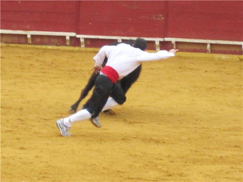 Lodosa (Navarra) 21-03-2010 ganaderia Jose Antonio Baigorri "El Pincha" (Lodosa, Navarra) 4500275048_277f018113