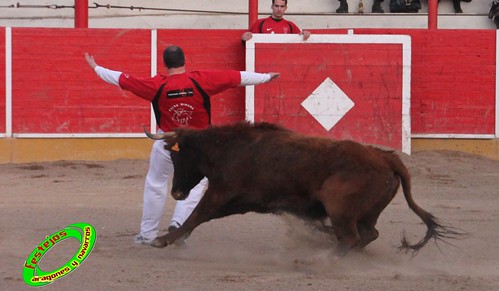 Fitero (Navarra) 12-03-2010 Ganaderia Merino (Marcilla, Navarra) 4441324030_5fb1e60393