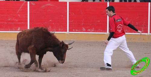 Fitero (Navarra) 12-03-2010 Ganaderia Merino (Marcilla, Navarra) 4441282058_e8e54d813f