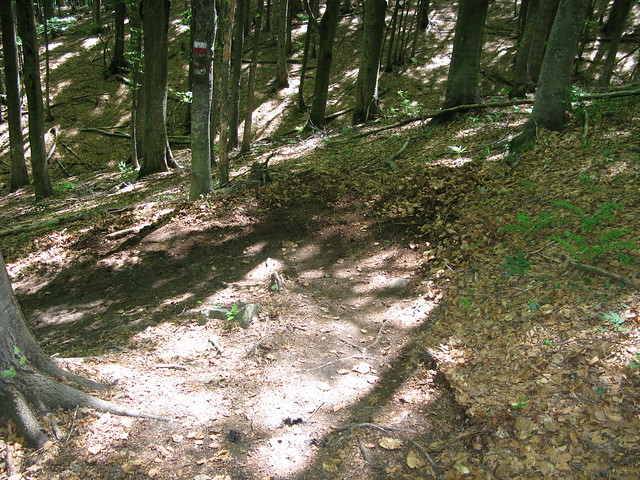 20110529_MTB_GiornataSentieri_4871