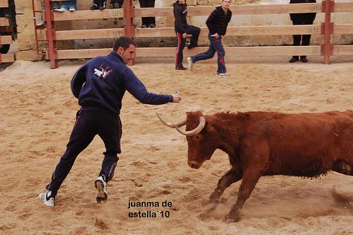 Villatuerta (Navarra) 5-03-2010 ganaderia Alba Reta (Grocin, Navarra) 4460439666_5e1f09fa67