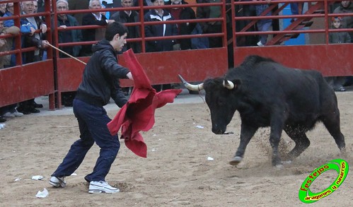 Illueca (Zaragoza) 22-01-2009 ganaderia Julio Ortega "El Ruiseñor" (Frescano, Zaragoza) 4307251460_a68315bf41