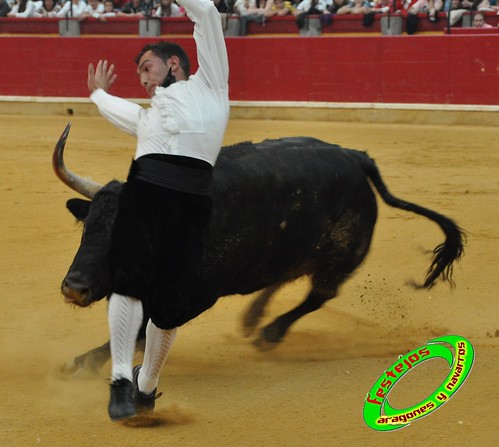 Concurso goyesco de recortadores con toros de Zaragoza 4034840653_b9a6784a57