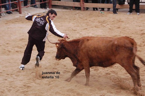 Villatuerta (Navarra) 5-03-2010 ganaderia Alba Reta (Grocin, Navarra) 4459669827_bc3155cf35