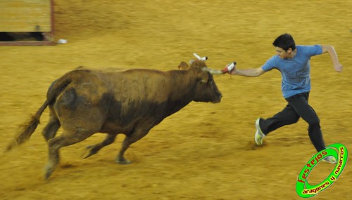 Zaragoza, jueves 15 de Octubre ganaderia  Jose Arriazu e Hijos (Ablitas, Navarra) 4032527310_6b32895d82