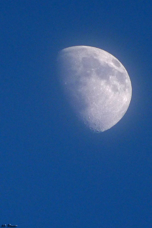 Moon from Rioz... 4219405096_d0f6cd5e38_o