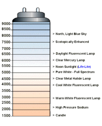 Write-Up: HID Conversion - Page 7 4286440245_6f7dbbbc0d_o