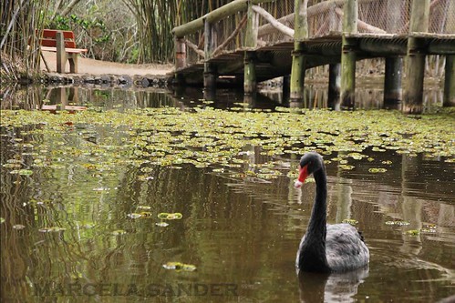 Fotos no Jardim Botânico 4027015653_f258d5fcb5