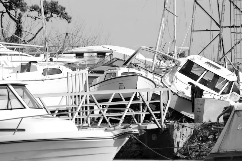 Tempête du 28/02/2010 sur Oléron 4398912983_b9e1ee3956_o