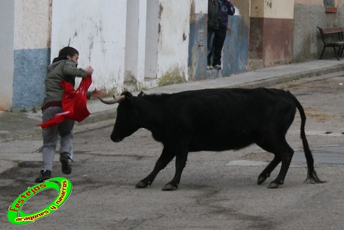 Pozuelo de Aragòn (Zaragoza) 16-01-2010 ganaderia Ruiz Larraz (Tauste, Zaragoza) 4288683996_6f6329aa70