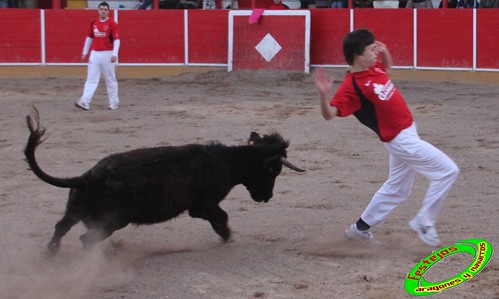 Fitero (Navarra) 12-03-2010 Ganaderia Merino (Marcilla, Navarra) 4440521293_1e5b29a980