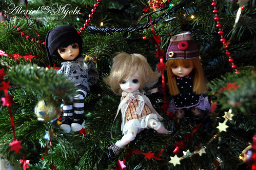 Alexiel's BJD ~ Noor & Roxy ~ P.74 [Chibi Unoa & Latidoll] - Page 19 4217889133_972b81067a