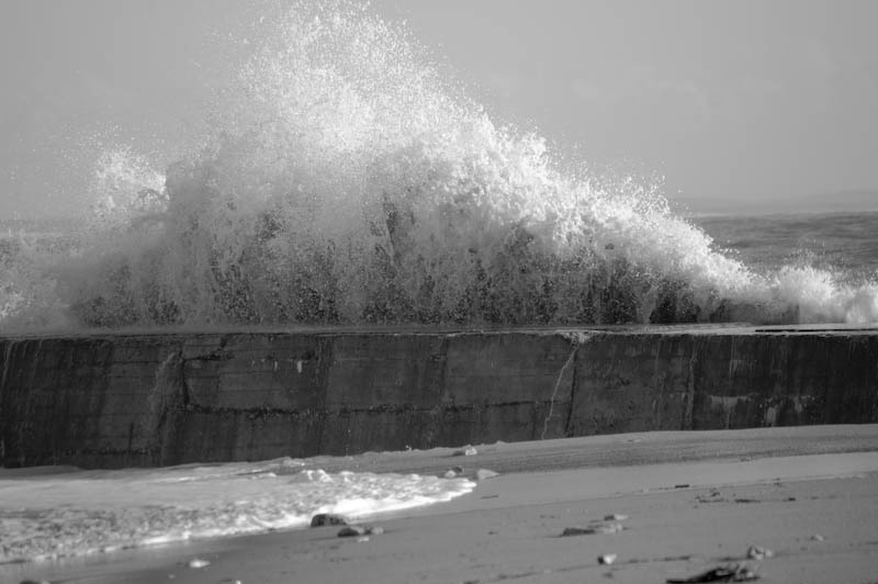 Tempête du 28/02/2010 sur Oléron 4395689501_a8af9a235b_o