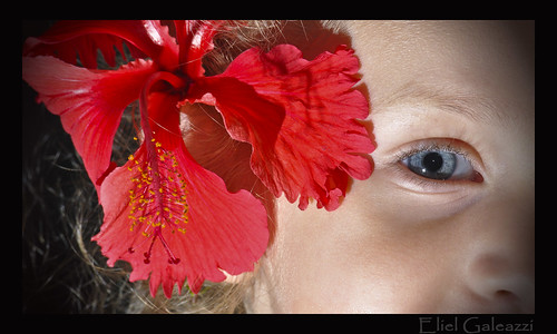 Red Hibiscus and Manu