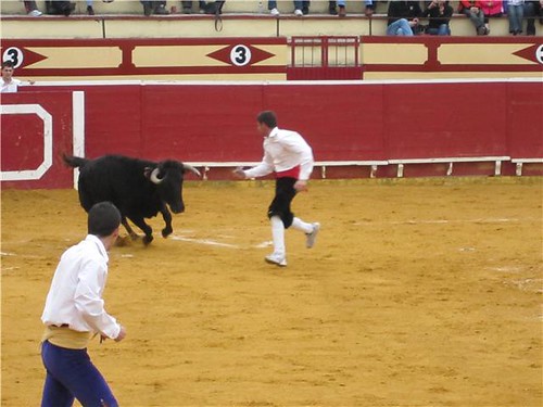 Lodosa (Navarra) 21-03-2010 ganaderia Jose Antonio Baigorri "El Pincha" (Lodosa, Navarra) 4500273576_9af5c10291