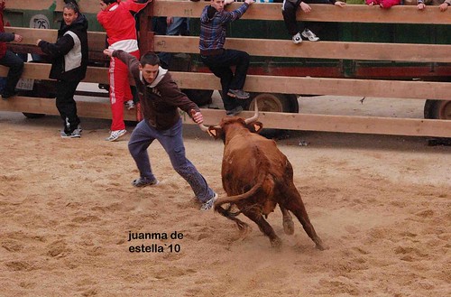 Villatuerta (Navarra) 5-03-2010 ganaderia Alba Reta (Grocin, Navarra) 4459667099_29f3531efe