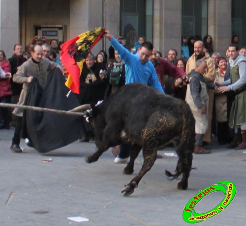 Toros ensogados (Teruel) 4379058119_b5f3569928