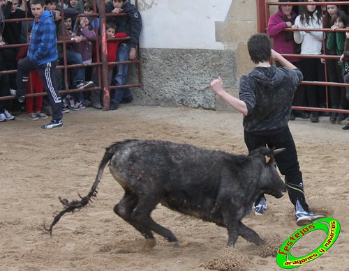 Villatuerta (Navarra) 6-03-2010 ganaderia Macua (Larraga, Navarra) 4422334705_6f4cc1aa4f