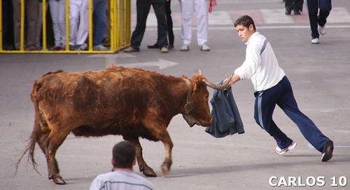 Arnedo (La Rioja) 21/03/10 Ganaderia Merino 4453693647_fc8bd70d24