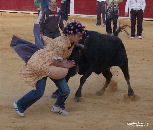 Teruel 6-4-2010 ganaderia Pedro Fumado "El Charnego" (Deltebre, Tarragona) 4514268947_84ea625175