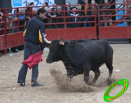 Illueca (Zaragoza) 22-01-2009 ganaderia Julio Ortega "El Ruiseñor" (Frescano, Zaragoza) 4307247694_4d31d93130