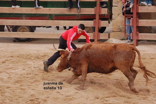 Villatuerta (Navarra) 5-03-2010 ganaderia Alba Reta (Grocin, Navarra) 4459663509_67a1131e24