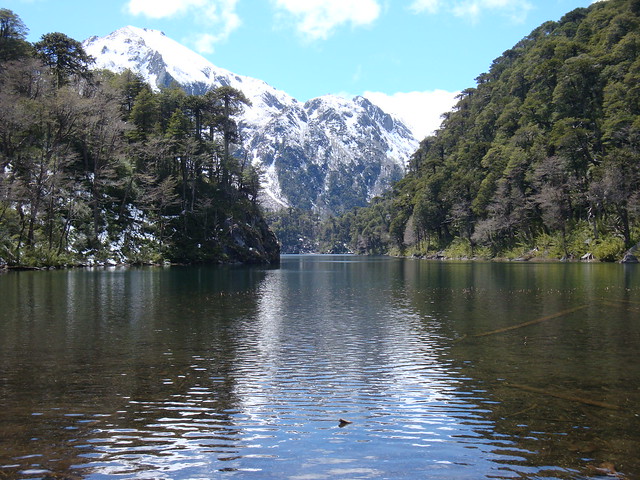 Región de la Araucania [Chile] 4106645708_ed3ee554fc_z