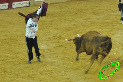 Zaragoza, jueves 15 de Octubre ganaderia  Jose Arriazu e Hijos (Ablitas, Navarra) 4032547130_1c5c5d6288