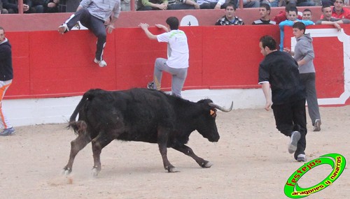 Corella (Navarra) 16-04-2010 Jose Antonio Baigorri "El Pincha" (Lodosa, Navarra) 4534934905_3eec8a1b92