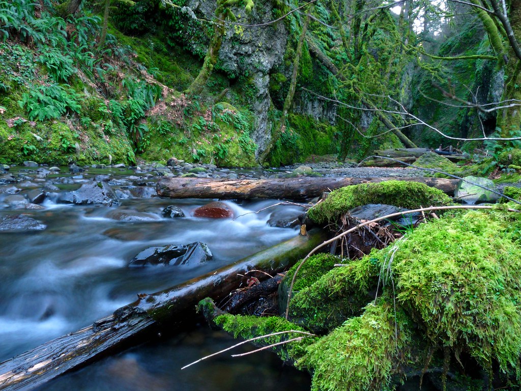 Diez paisajes espectaculares de Estados Unidos 4374781540_f274e9725e_b