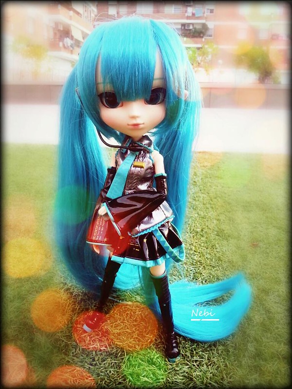 Pullip Miku hatsune 9524050049_94fed16d82_c