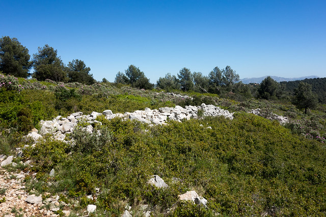 Blockhaus au Moulin du Diable (Marseille, 13) - Page 2 11122243055_9e2dce97d4_z