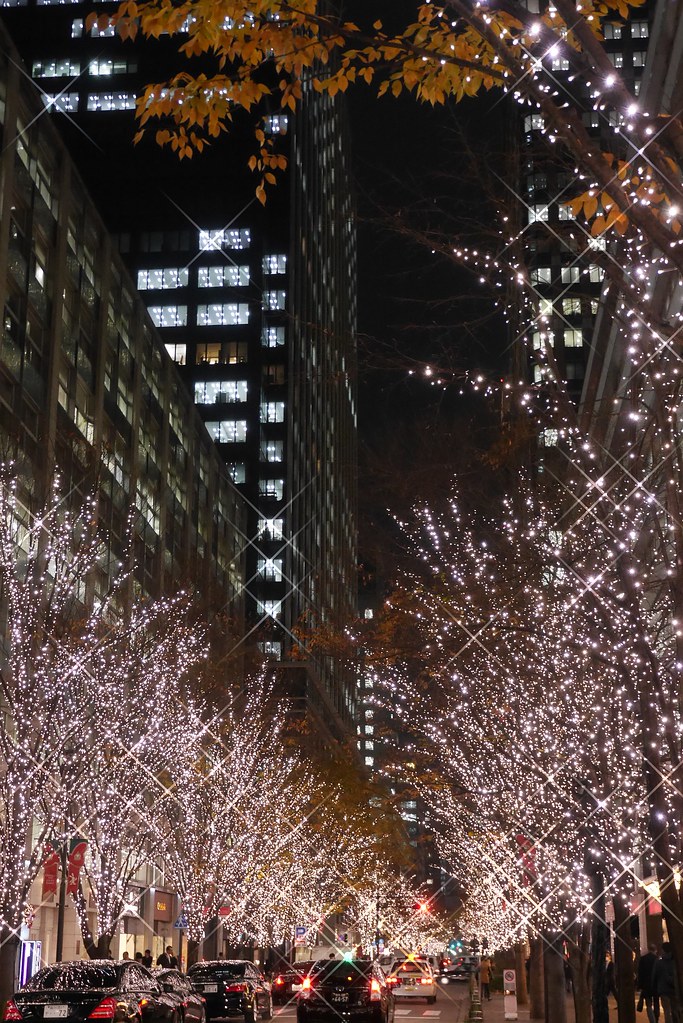 Definitivamente, en Japón nos llevan siglos de ventaja. Iluminación navideña. 11289731834_4a8feccddd_b