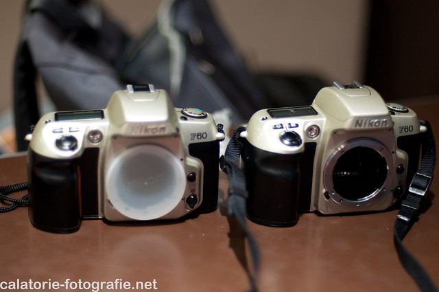 Obiective fixe testate comparativ: Nikon 50 mm f/1,8 AF-D vs 50 mm f/1,4 AF-D 10308766583_03d76d1f4c_z
