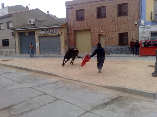 Villafranca de Ebro 8 - 12 - 08 Ganaderia de Ivan Lopez 3098895444_10d4bca1db