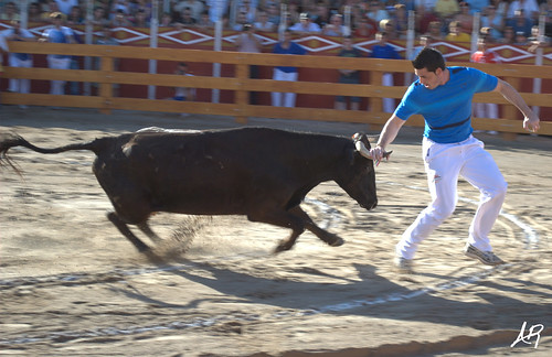 Quinto (Zaragoza) 19.7.2009 "III Concurso de Recortadores y Roscaderos" (Ganaderías Hnos. Oliva Escudero, Hnos. Ozcoz y Hnos. Marcén) 3745773177_2886d6540d