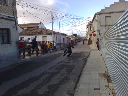 Castejon (Navarra) ganado de Pascual - Nechita de Castejon 3072230522_b5943721e7