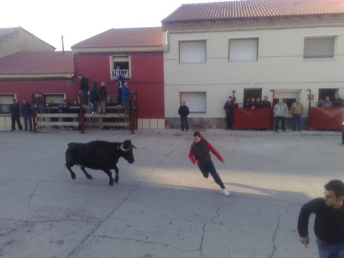 Figueruelas (Zaragoza) Ganado de Jose Luis Cuartero 3090294568_6430ccdc0f