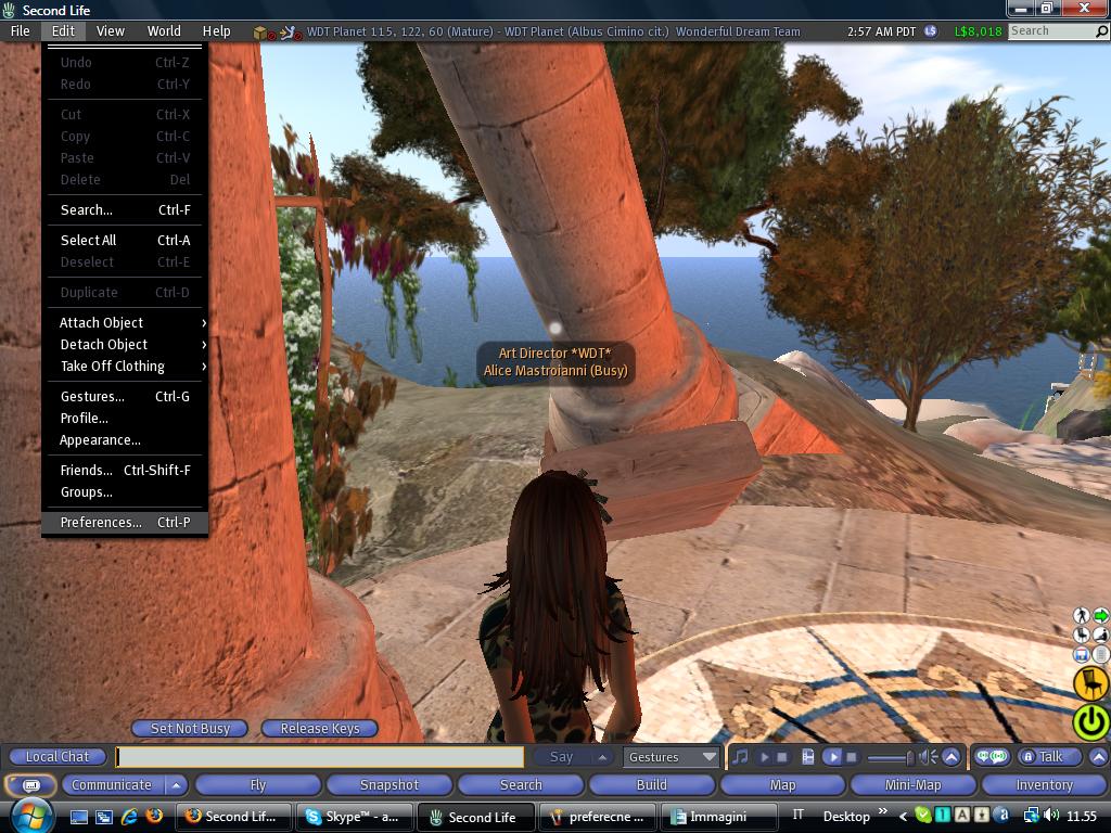 Tutorial per client (vecchio) di second life (da rinnovare) 2762735532_a9816c0bfc_o