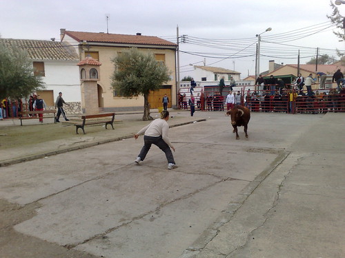 Villafranca de Ebro 8 - 12 - 08 Ganaderia de Ivan Lopez 3098929110_ba427678bd