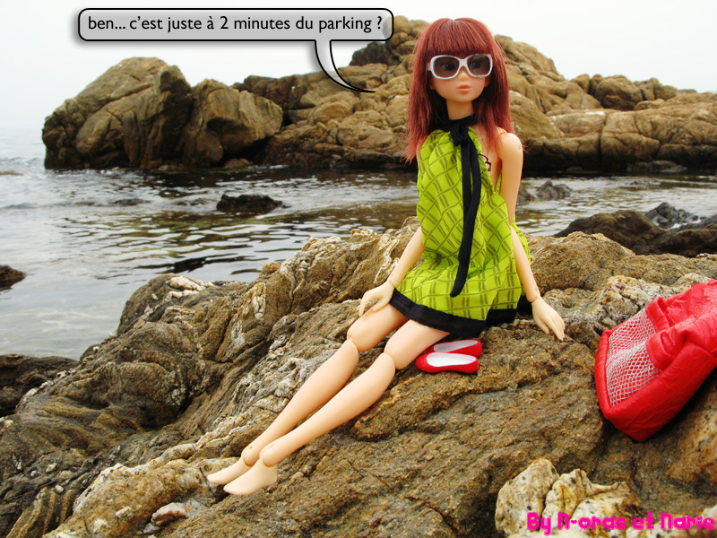 Les vacances des Momokos ! New : Photostory bas de page 1 2647587502_4dc77335dc_o