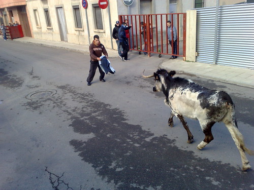 Castejon (Navarra) ganado de Pascual - Nechita de Castejon 3071384373_f5940a1b87