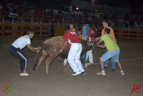 Quinto (Zaragoza) 18.7.2009 Embolado Hnos. Ozcoz y Vacas Hnos. Marcén 3742889574_6ba41bf15c