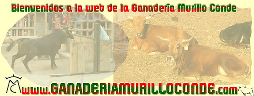 www.ganaderiamurilloconde.com 3035343654_9620737961